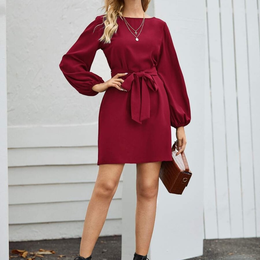 Red lantern long sleeve mini dress Minimalist work office - Picture 11 of 15